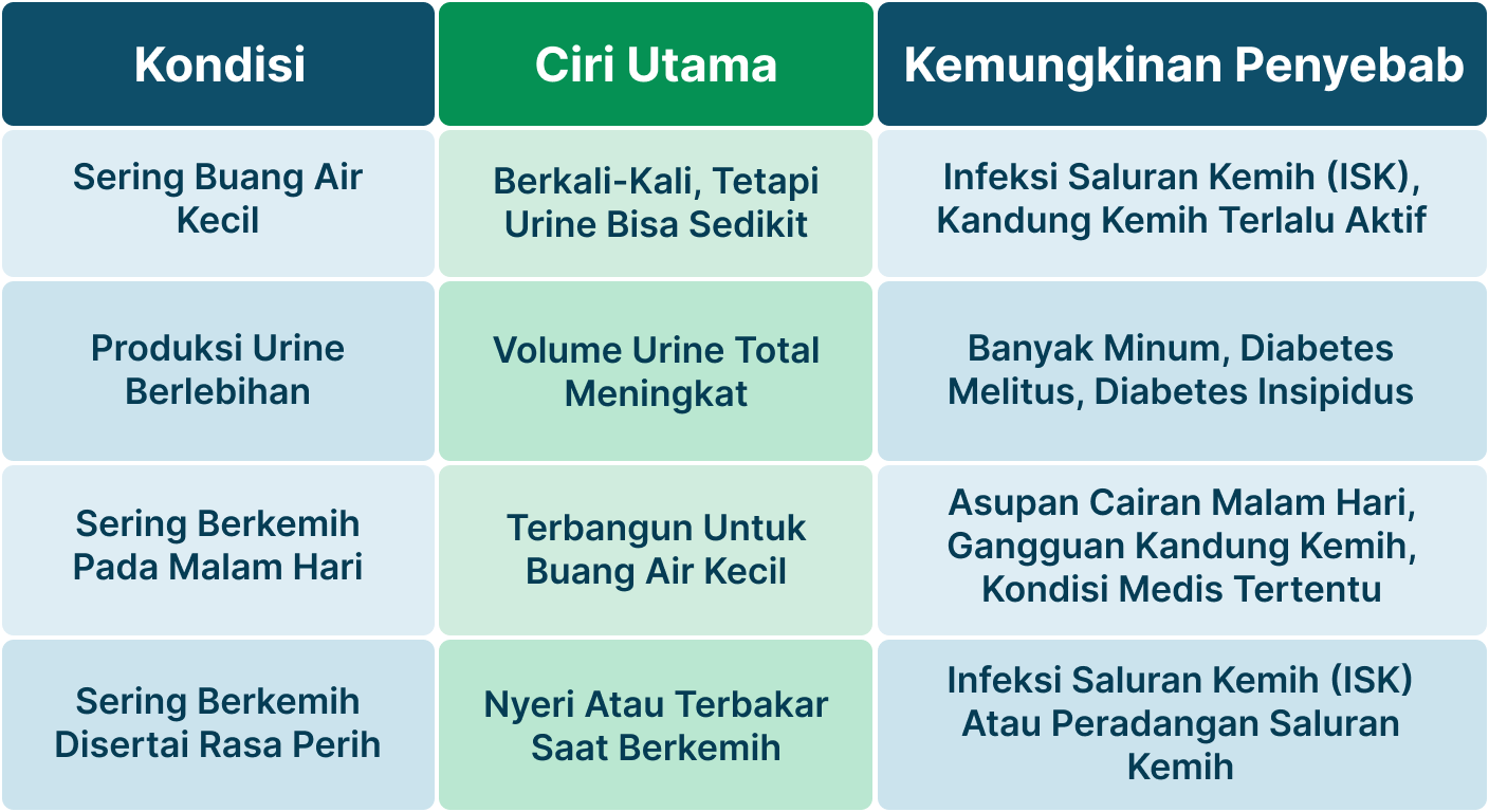 Ilustrasi Buang Air Kecil Banyak.