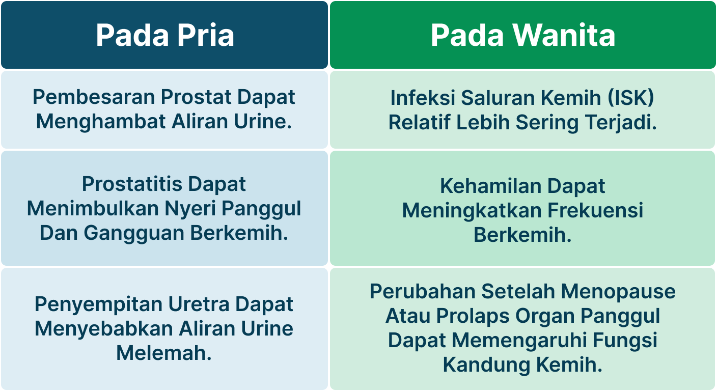 Ilustrasi Buang Air Kecil Terus Tapi Sedikit.
