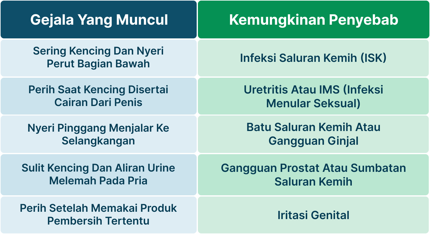 Ilustrasi Sakit Saat Buang Air Kecil.