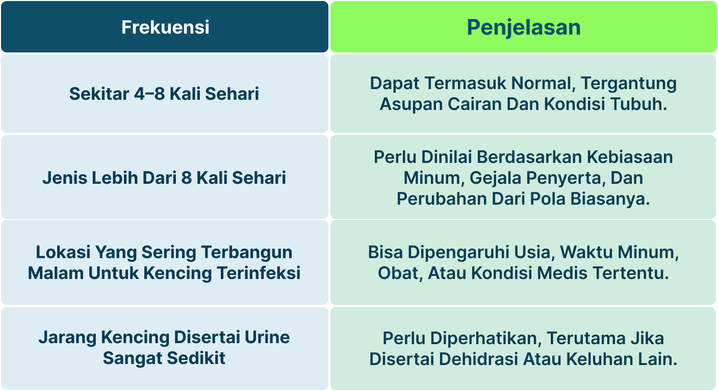 Ilustrasi Frekuensi Buang Air Kecil Normal.